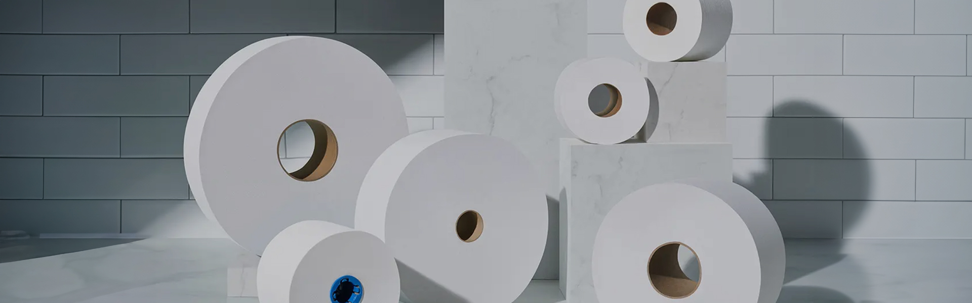 Toilet Tissue & Dispensers