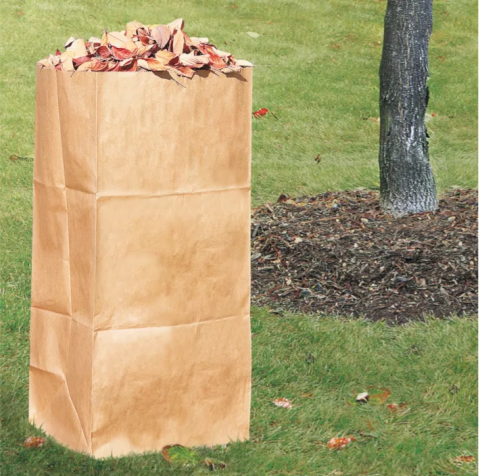 Duro 30 Gallon Self-Standing 2-Ply Printed Natural Kraft Paper Lawn and Leaf  Bag 22453 - 60/Case